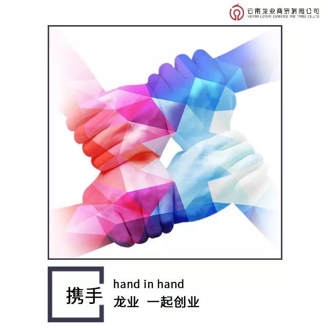bsports必一体育
