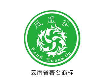 云南师宗凤凰谷bsports必一体育有限公司